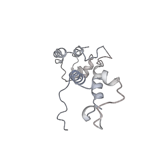 14421_7z0h_D_v1-0
Structure of yeast RNA Polymerase III-Ty1 integrase complex at 2.6 A (focus subunit AC40).