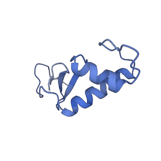 14421_7z0h_F_v1-0
Structure of yeast RNA Polymerase III-Ty1 integrase complex at 2.6 A (focus subunit AC40).