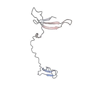 14421_7z0h_I_v1-0
Structure of yeast RNA Polymerase III-Ty1 integrase complex at 2.6 A (focus subunit AC40).
