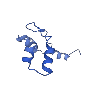 14421_7z0h_J_v1-0
Structure of yeast RNA Polymerase III-Ty1 integrase complex at 2.6 A (focus subunit AC40).