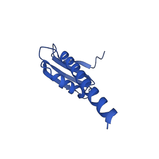 14421_7z0h_K_v1-0
Structure of yeast RNA Polymerase III-Ty1 integrase complex at 2.6 A (focus subunit AC40).