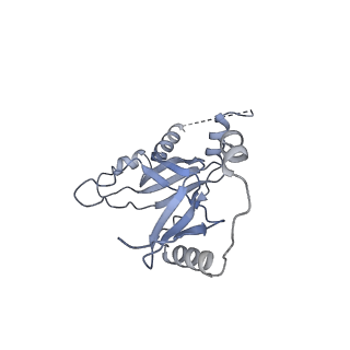 14421_7z0h_M_v1-0
Structure of yeast RNA Polymerase III-Ty1 integrase complex at 2.6 A (focus subunit AC40).