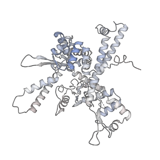 14421_7z0h_O_v1-0
Structure of yeast RNA Polymerase III-Ty1 integrase complex at 2.6 A (focus subunit AC40).
