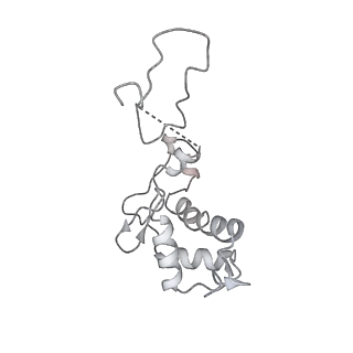 14421_7z0h_P_v1-0
Structure of yeast RNA Polymerase III-Ty1 integrase complex at 2.6 A (focus subunit AC40).