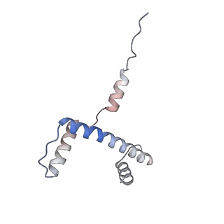 14428_7z0o_A_v1-1
Structure of transcription factor UAF in complex with TBP and 35S rRNA promoter DNA