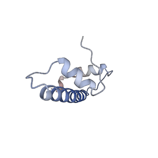 14428_7z0o_B_v1-1
Structure of transcription factor UAF in complex with TBP and 35S rRNA promoter DNA