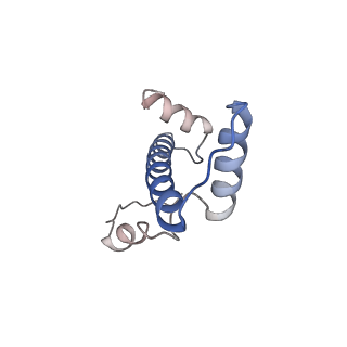 14428_7z0o_C_v1-1
Structure of transcription factor UAF in complex with TBP and 35S rRNA promoter DNA