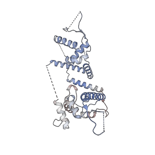 14428_7z0o_D_v1-1
Structure of transcription factor UAF in complex with TBP and 35S rRNA promoter DNA
