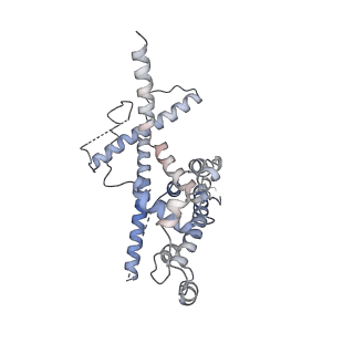 14428_7z0o_E_v1-1
Structure of transcription factor UAF in complex with TBP and 35S rRNA promoter DNA