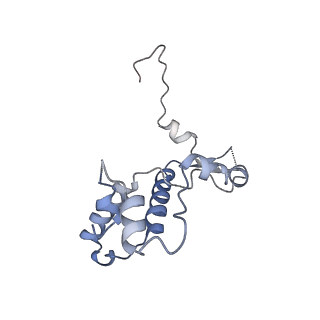 14428_7z0o_F_v1-1
Structure of transcription factor UAF in complex with TBP and 35S rRNA promoter DNA
