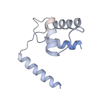 14428_7z0o_G_v1-1
Structure of transcription factor UAF in complex with TBP and 35S rRNA promoter DNA
