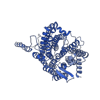 14429_7z0s_C_v1-0
Structure of the Escherichia coli formate hydrogenlyase complex (anaerobic preparation, without formate dehydrogenase H)