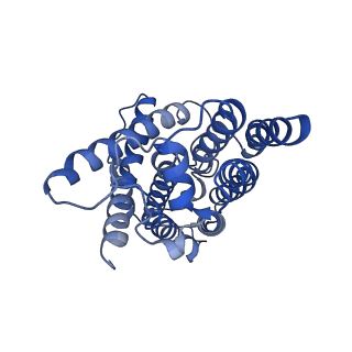 14429_7z0s_D_v1-0
Structure of the Escherichia coli formate hydrogenlyase complex (anaerobic preparation, without formate dehydrogenase H)