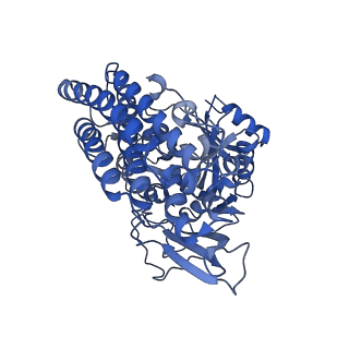 14429_7z0s_E_v1-0
Structure of the Escherichia coli formate hydrogenlyase complex (anaerobic preparation, without formate dehydrogenase H)