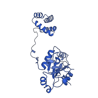14429_7z0s_G_v1-0
Structure of the Escherichia coli formate hydrogenlyase complex (anaerobic preparation, without formate dehydrogenase H)