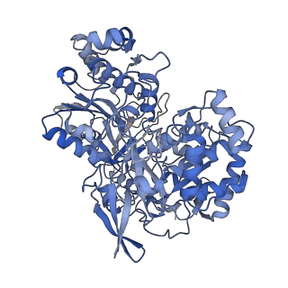 14430_7z0t_A_v1-0
Structure of the Escherichia coli formate hydrogenlyase complex (aerobic preparation, composite structure)