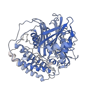 14430_7z0t_E_v1-0
Structure of the Escherichia coli formate hydrogenlyase complex (aerobic preparation, composite structure)