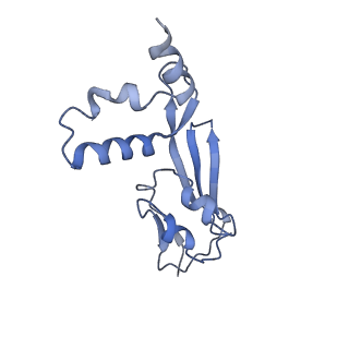 14430_7z0t_F_v1-0
Structure of the Escherichia coli formate hydrogenlyase complex (aerobic preparation, composite structure)