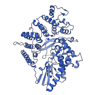 14435_7z0z_D_v1-2
Abortive infection DNA polymerase AbiK from Lactococcus lactis, Y44F variant