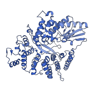 14435_7z0z_E_v1-2
Abortive infection DNA polymerase AbiK from Lactococcus lactis, Y44F variant