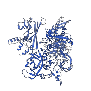 11026_6z11_C_v1-0
Structure of Mycobacterium smegmatis HelD protein in complex with RNA polymerase core - State III, primary channel dis-engaged and active site interfering