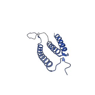 11027_6z16_C_v1-0
Structure of the Mrp antiporter complex