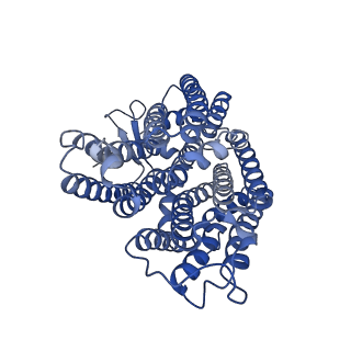 11027_6z16_D_v1-0
Structure of the Mrp antiporter complex