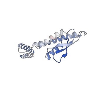 11027_6z16_E_v1-0
Structure of the Mrp antiporter complex