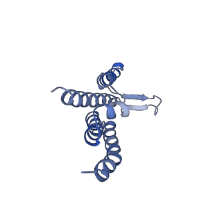 11027_6z16_b_v1-0
Structure of the Mrp antiporter complex