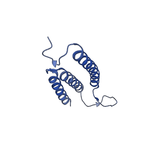 11027_6z16_c_v1-0
Structure of the Mrp antiporter complex