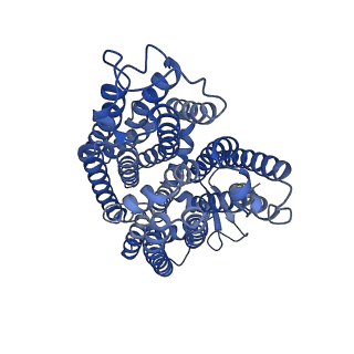 11027_6z16_d_v1-0
Structure of the Mrp antiporter complex