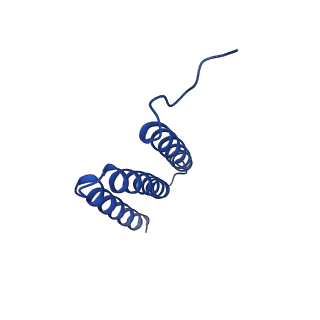 11027_6z16_f_v1-0
Structure of the Mrp antiporter complex