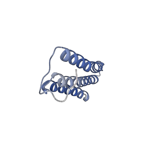 11027_6z16_g_v1-0
Structure of the Mrp antiporter complex