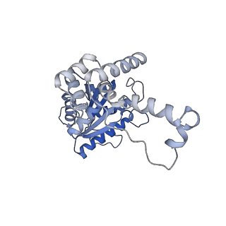 11028_6z1f_1_v1-1
CryoEM structure of Rubisco Activase with its substrate Rubisco from Nostoc sp. (strain PCC7120)