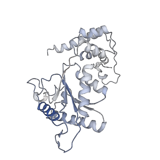 11028_6z1f_3_v1-1
CryoEM structure of Rubisco Activase with its substrate Rubisco from Nostoc sp. (strain PCC7120)