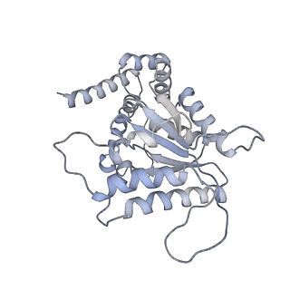 11028_6z1f_4_v1-1
CryoEM structure of Rubisco Activase with its substrate Rubisco from Nostoc sp. (strain PCC7120)