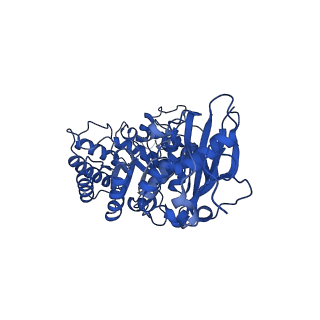 11028_6z1f_C_v1-1
CryoEM structure of Rubisco Activase with its substrate Rubisco from Nostoc sp. (strain PCC7120)
