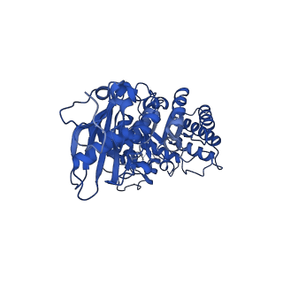 11028_6z1f_G_v1-1
CryoEM structure of Rubisco Activase with its substrate Rubisco from Nostoc sp. (strain PCC7120)
