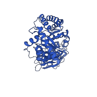 11028_6z1f_H_v1-1
CryoEM structure of Rubisco Activase with its substrate Rubisco from Nostoc sp. (strain PCC7120)