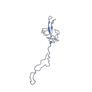 11032_6z1p_AV_v1-1
Structure of the mitochondrial ribosome from Tetrahymena thermophila