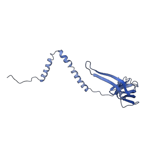 11032_6z1p_Av_v1-1
Structure of the mitochondrial ribosome from Tetrahymena thermophila