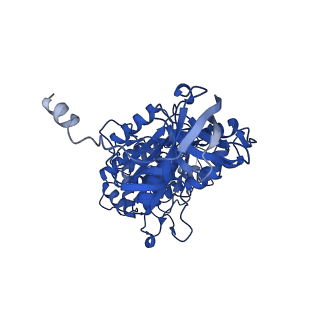 11039_6z1r_B_v1-2
bovine ATP synthase F1-peripheral stalk domain, state 2
