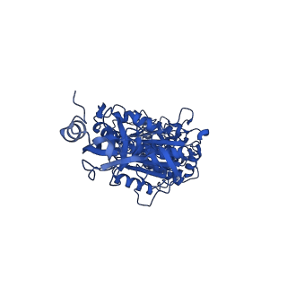 11039_6z1r_C_v1-2
bovine ATP synthase F1-peripheral stalk domain, state 2
