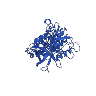 11039_6z1r_D_v1-2
bovine ATP synthase F1-peripheral stalk domain, state 2