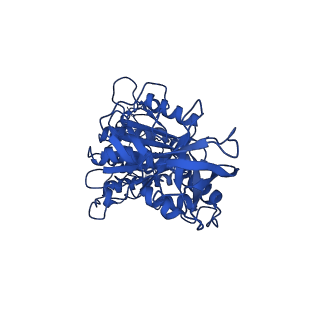 11039_6z1r_E_v1-2
bovine ATP synthase F1-peripheral stalk domain, state 2