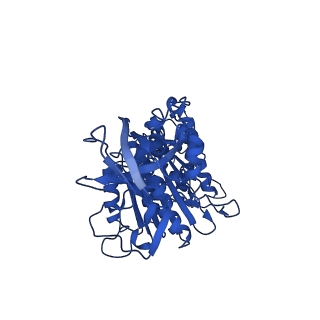 11039_6z1r_F_v1-2
bovine ATP synthase F1-peripheral stalk domain, state 2