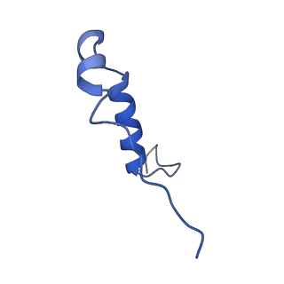 11039_6z1r_I_v1-2
bovine ATP synthase F1-peripheral stalk domain, state 2