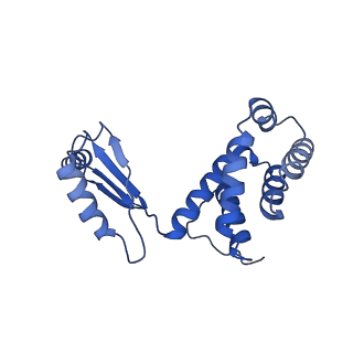 11039_6z1r_S_v1-2
bovine ATP synthase F1-peripheral stalk domain, state 2