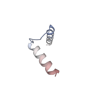 11039_6z1r_h_v1-2
bovine ATP synthase F1-peripheral stalk domain, state 2