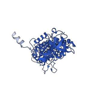 11040_6z1u_A_v1-2
bovine ATP synthase F1c8-peripheral stalk domain, state 3